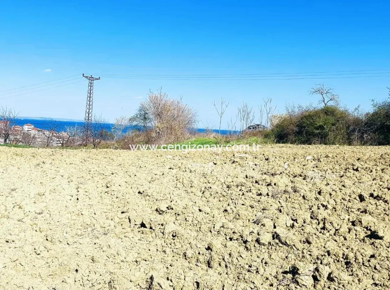 Investment Opportunity: 615 M2 Corner Land For Sale In Tekirdag Barbaros - Urgent Sale, Sea And Nature View, 0 Zoned