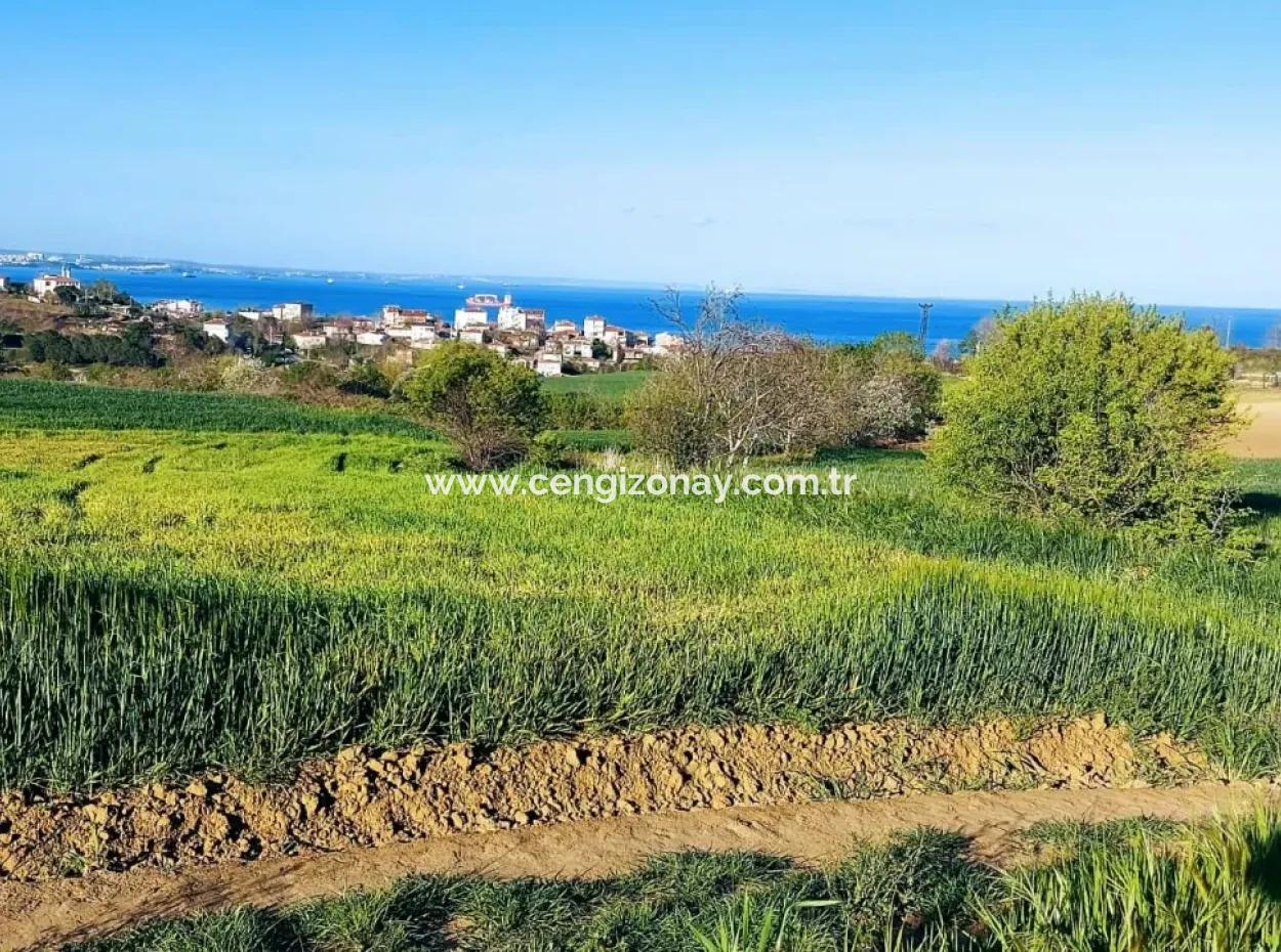 Investment Opportunity: 615 M2 Corner Land For Sale In Tekirdag Barbaros - Urgent Sale, Sea And Nature View, 0 Zoned