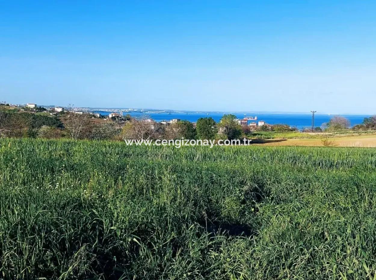 Investment Opportunity: 615 M2 Corner Land For Sale In Tekirdag Barbaros - Urgent Sale, Sea And Nature View, 0 Zoned
