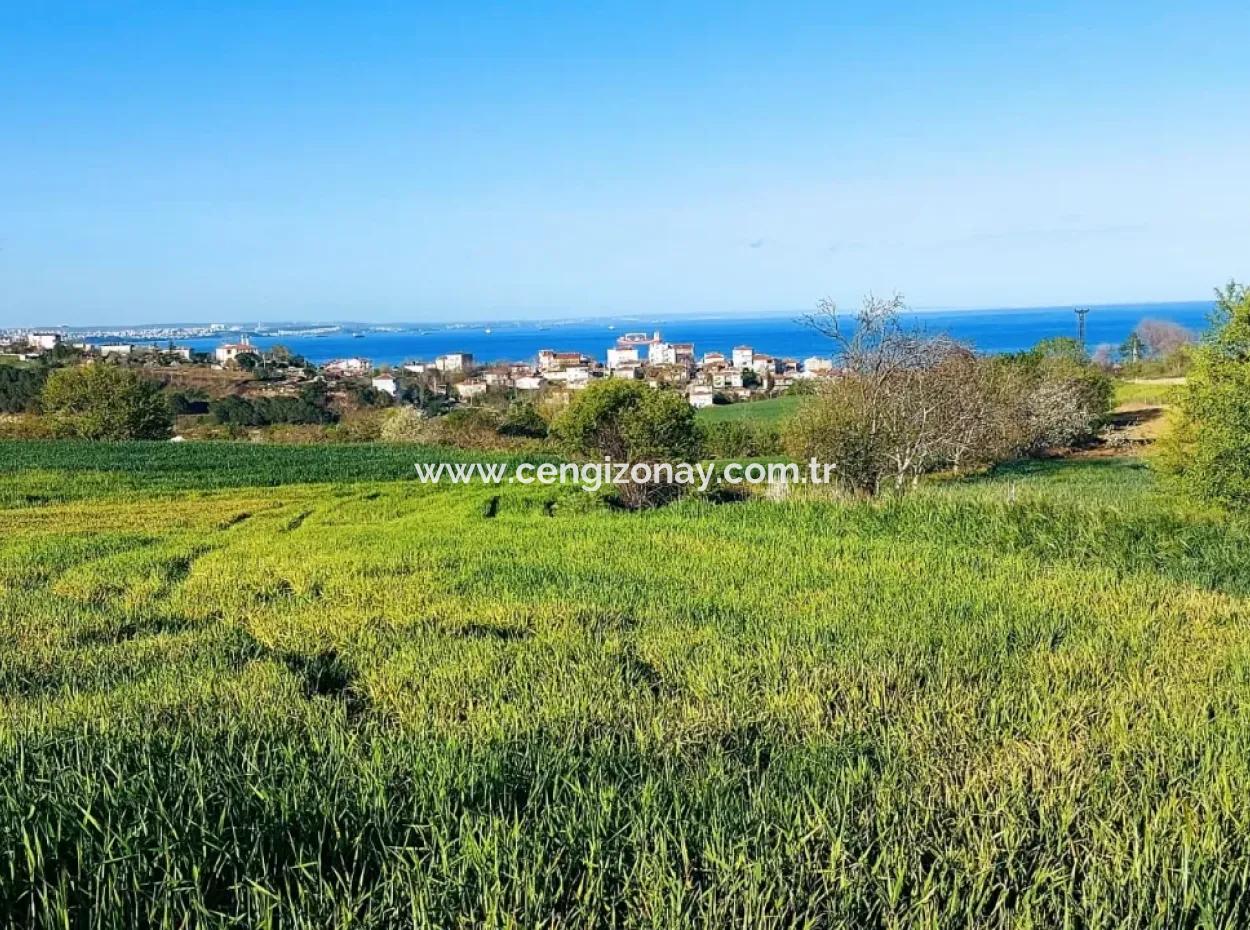 Investment Opportunity: 615 M2 Corner Land For Sale In Tekirdag Barbaros - Urgent Sale, Sea And Nature View, 0 Zoned