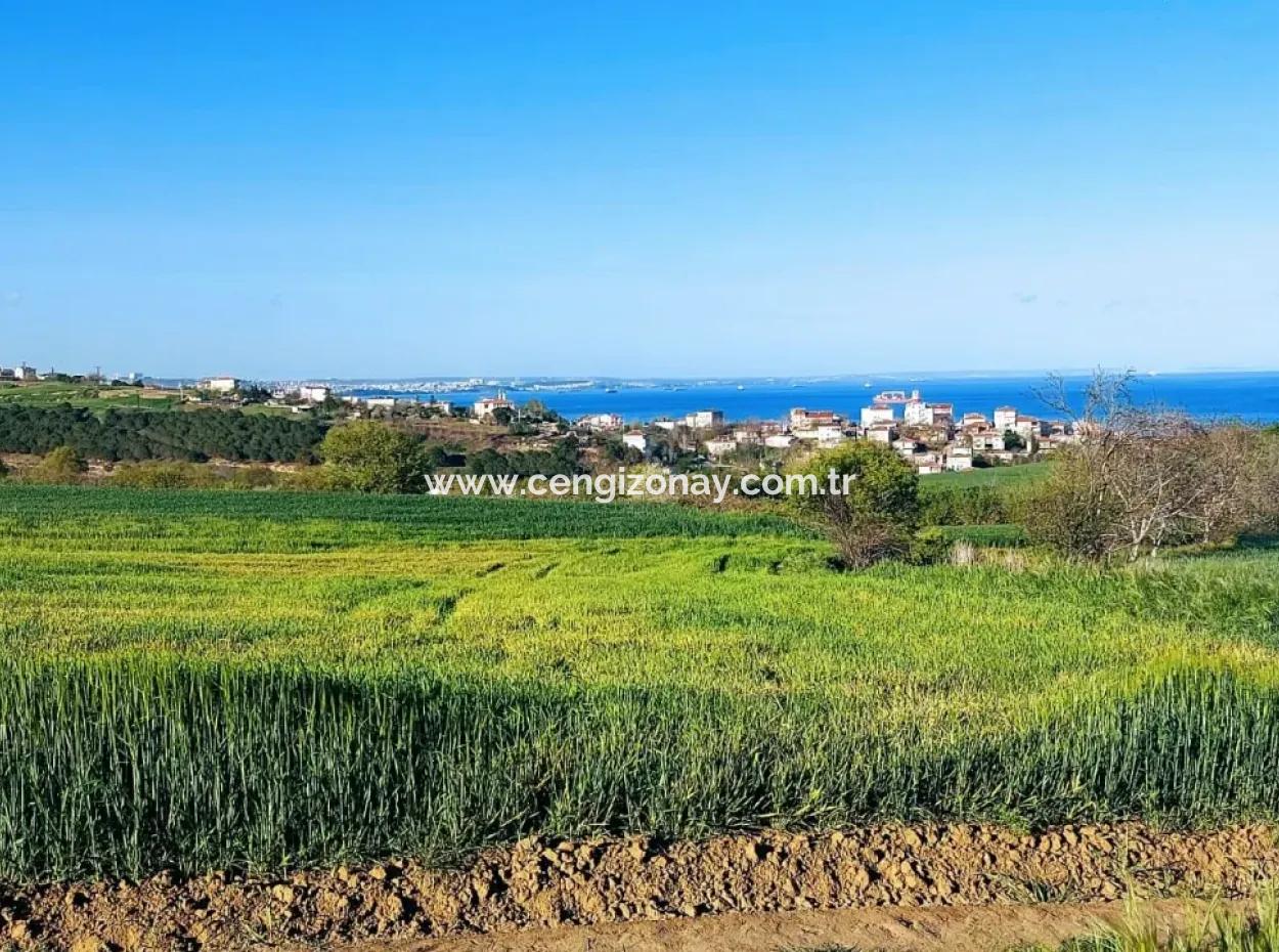 Investment Opportunity: 615 M2 Corner Land For Sale In Tekirdag Barbaros - Urgent Sale, Sea And Nature View, 0 Zoned