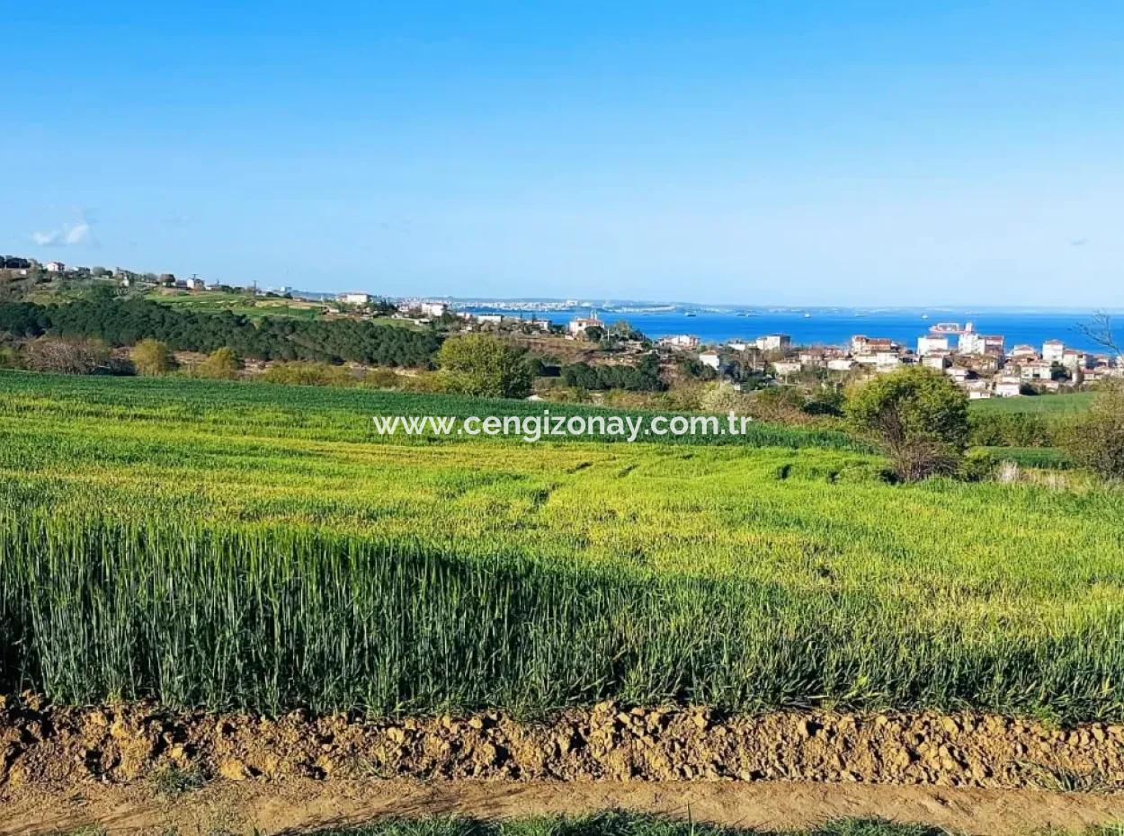 Investment Opportunity: 615 M2 Corner Land For Sale In Tekirdag Barbaros - Urgent Sale, Sea And Nature View, 0 Zoned