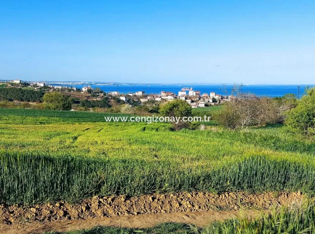 Investment Opportunity: 615 M2 Corner Land For Sale In Tekirdag Barbaros - Urgent Sale, Sea And Nature View, 0 Zoned