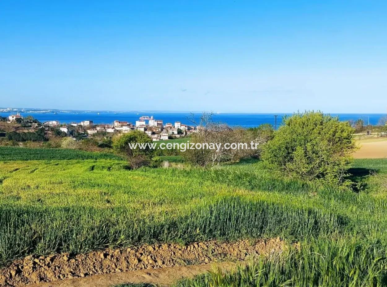 Investment Opportunity: 615 M2 Corner Land For Sale In Tekirdag Barbaros - Urgent Sale, Sea And Nature View, 0 Zoned