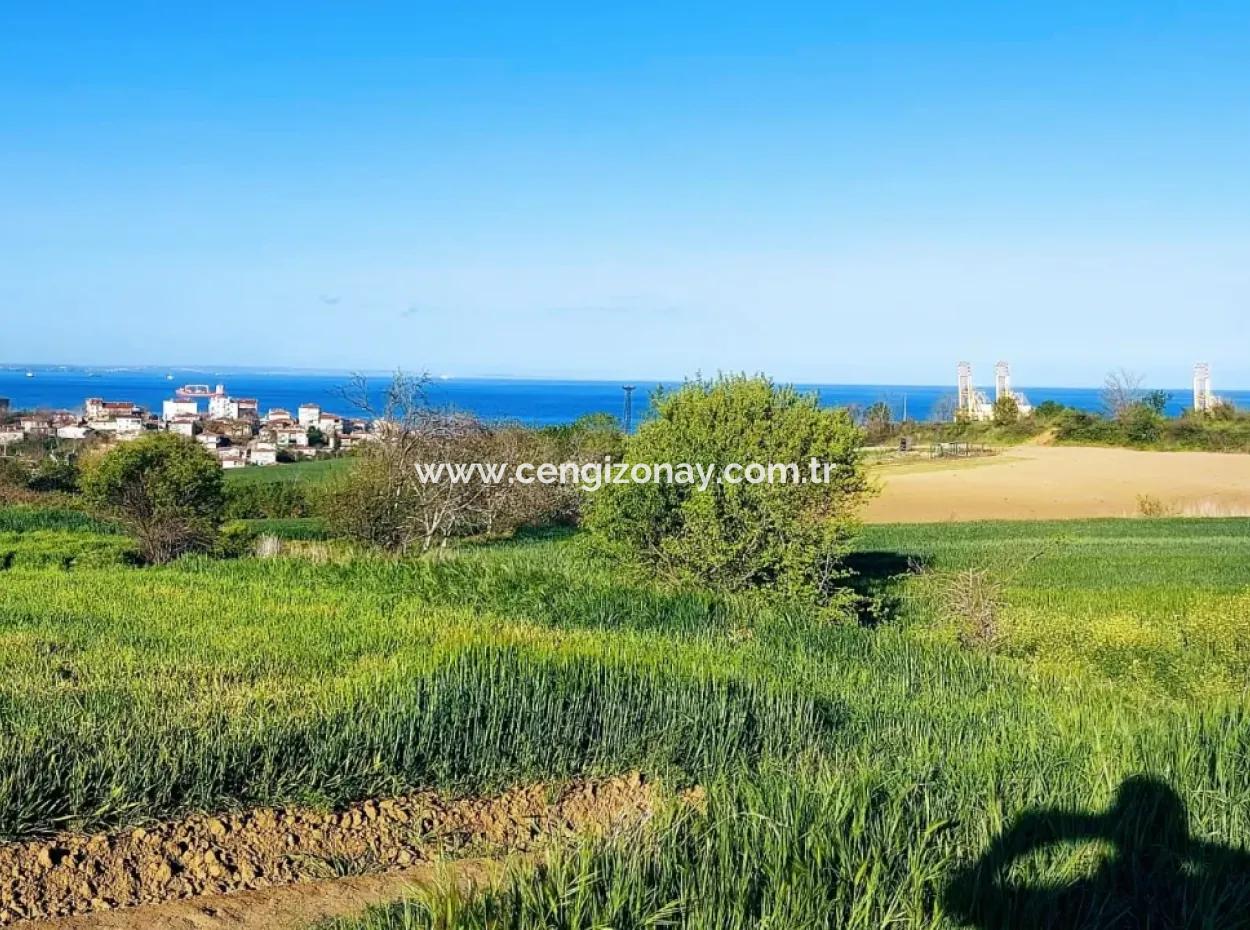 Investment Opportunity: 615 M2 Corner Land For Sale In Tekirdag Barbaros - Urgent Sale, Sea And Nature View, 0 Zoned