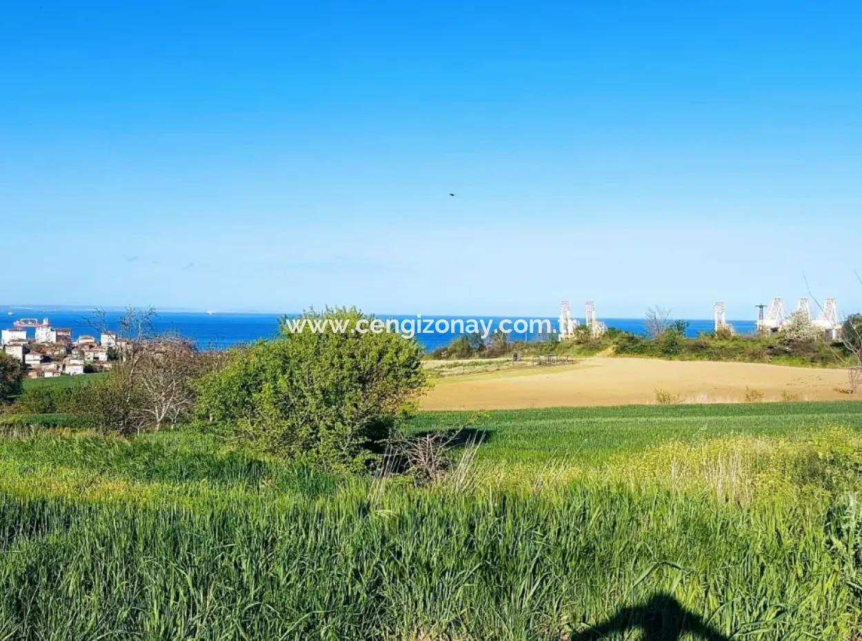 Investment Opportunity: 615 M2 Corner Land For Sale In Tekirdag Barbaros - Urgent Sale, Sea And Nature View, 0 Zoned