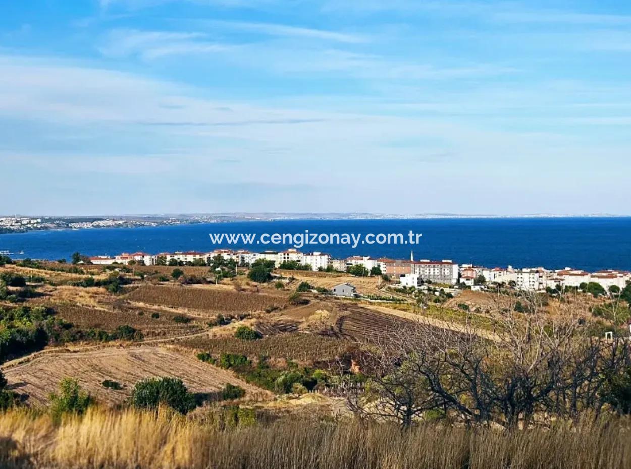 1,150 Sqm Plot Close To Ramada Hotel In Tekirdag Suleymanpasa Barbaros - Topagac