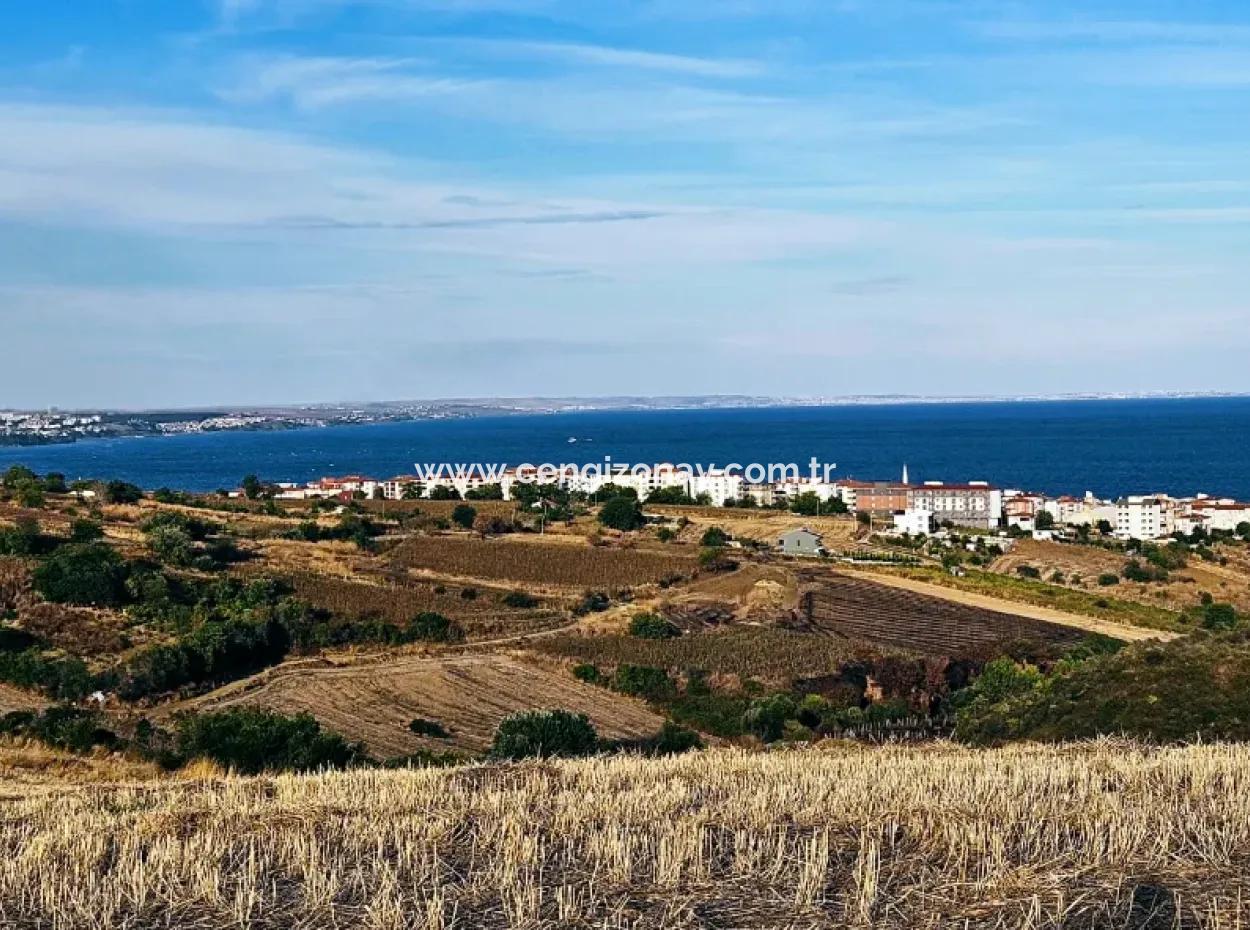 1,150 Sqm Plot Close To Ramada Hotel In Tekirdag Suleymanpasa Barbaros - Topagac