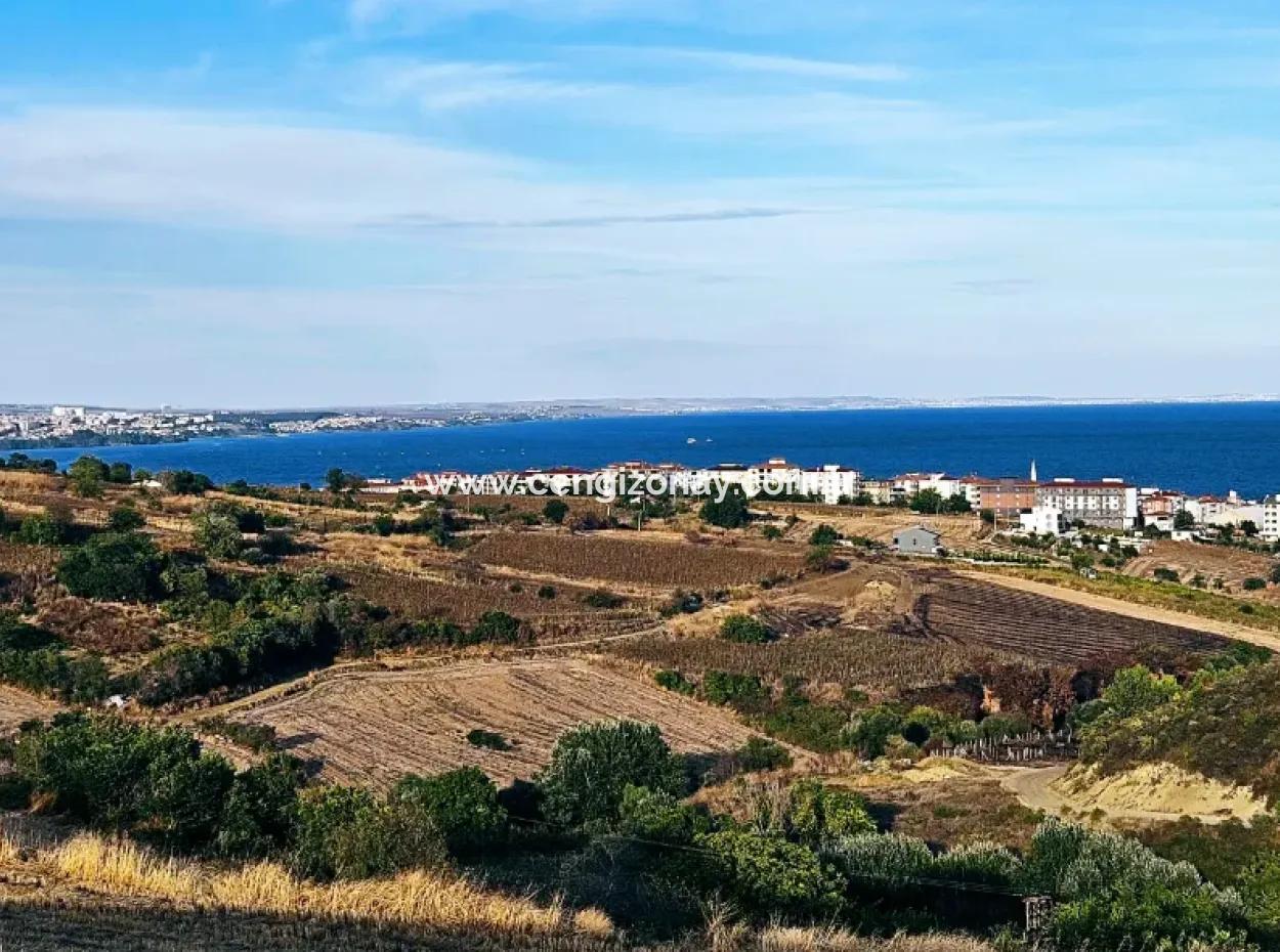 1,150 Sqm Plot Close To Ramada Hotel In Tekirdag Suleymanpasa Barbaros - Topagac
