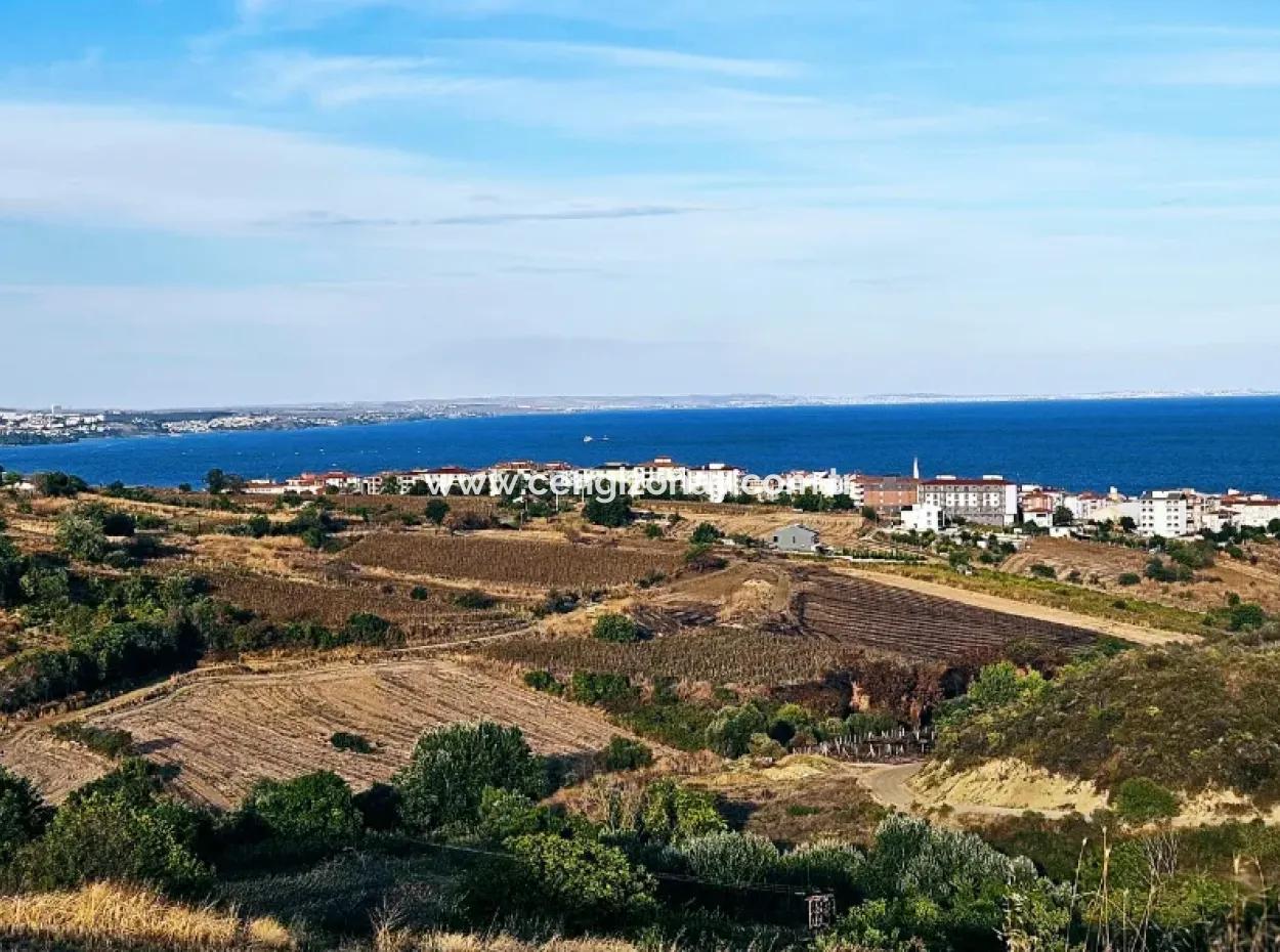 1,150 Sqm Plot Close To Ramada Hotel In Tekirdag Suleymanpasa Barbaros - Topagac