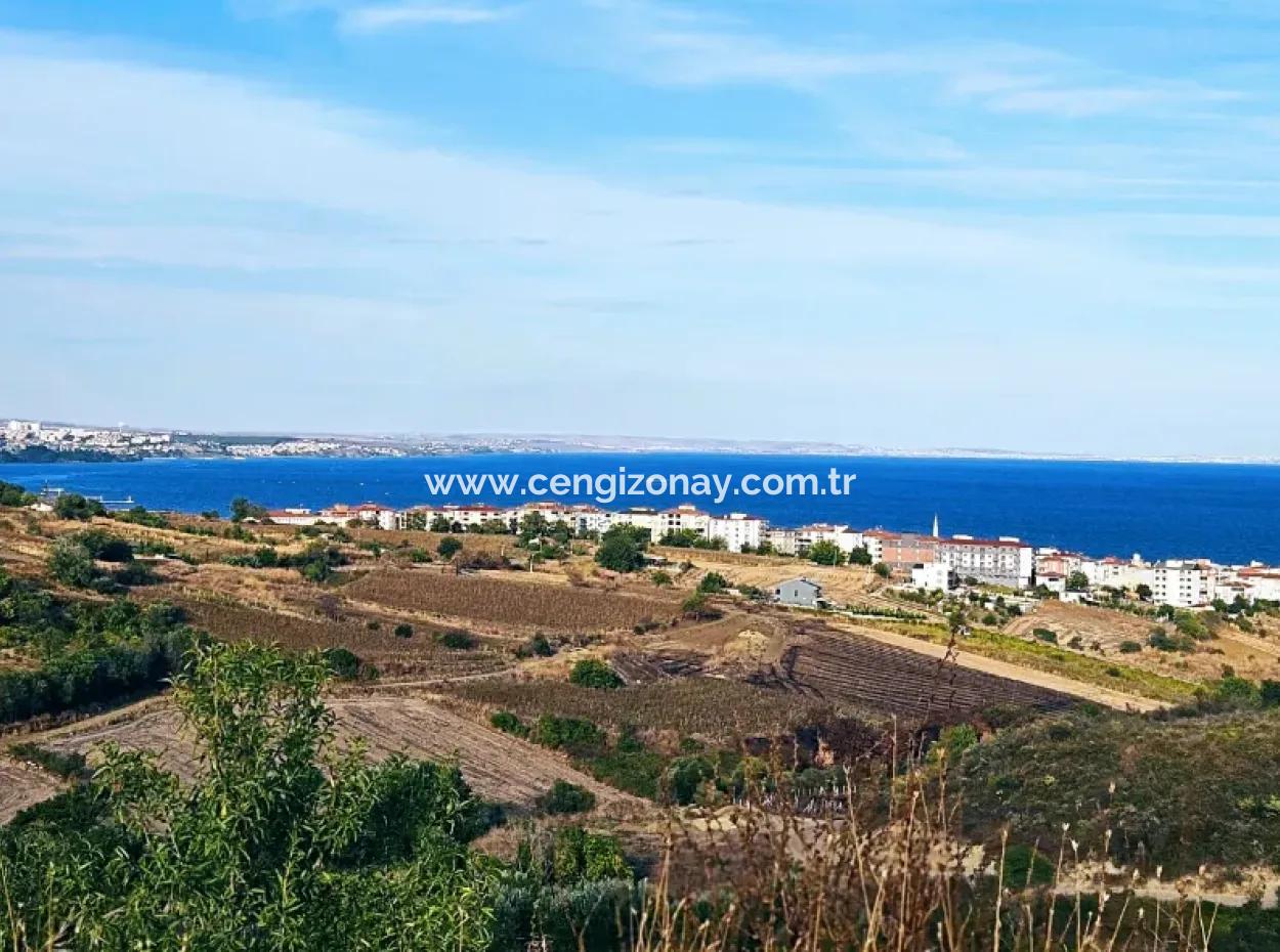 1,150 Sqm Plot Close To Ramada Hotel In Tekirdag Suleymanpasa Barbaros - Topagac