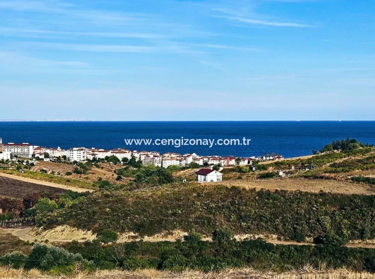1,150 Sqm Plot Close To Ramada Hotel In Tekirdag Suleymanpasa Barbaros - Topagac