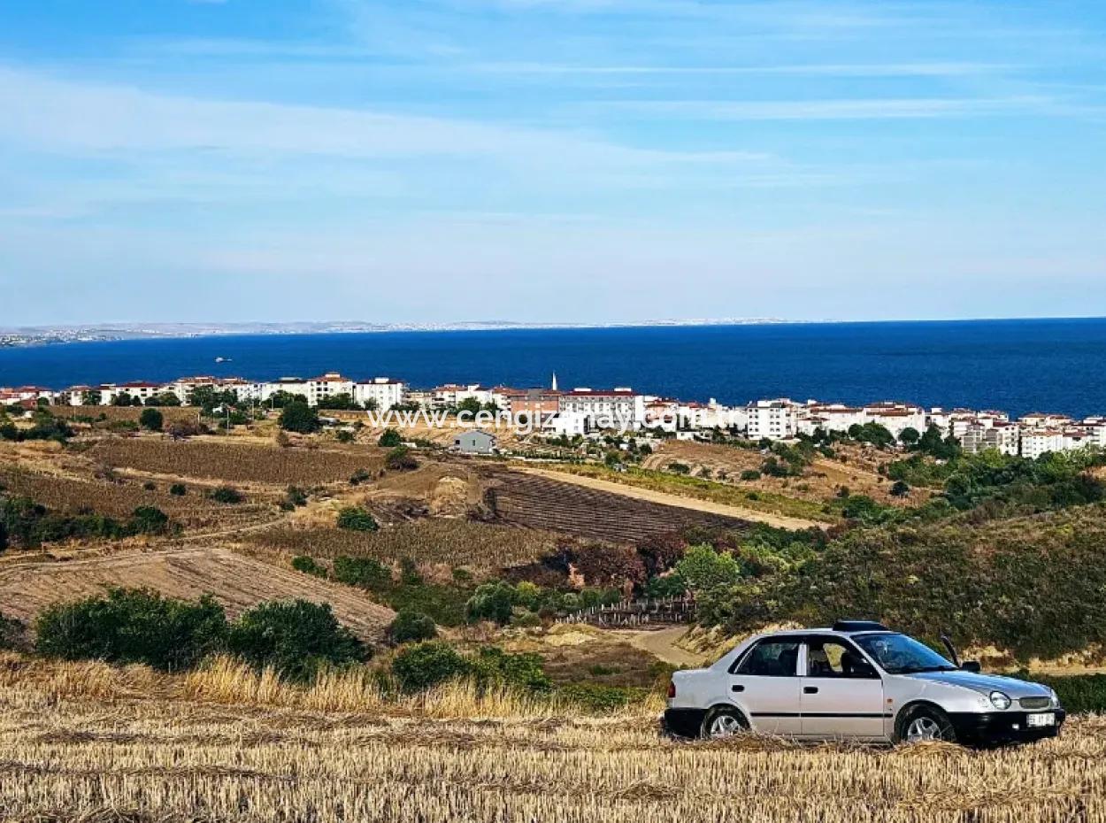 1,150 Sqm Plot Close To Ramada Hotel In Tekirdag Suleymanpasa Barbaros - Topagac