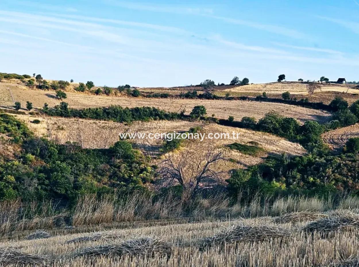 1,150 Sqm Plot Close To Ramada Hotel In Tekirdag Suleymanpasa Barbaros - Topagac