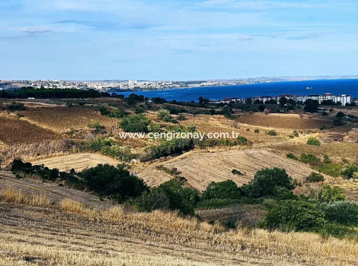 1,150 Sqm Plot Close To Ramada Hotel In Tekirdag Suleymanpasa Barbaros - Topagac