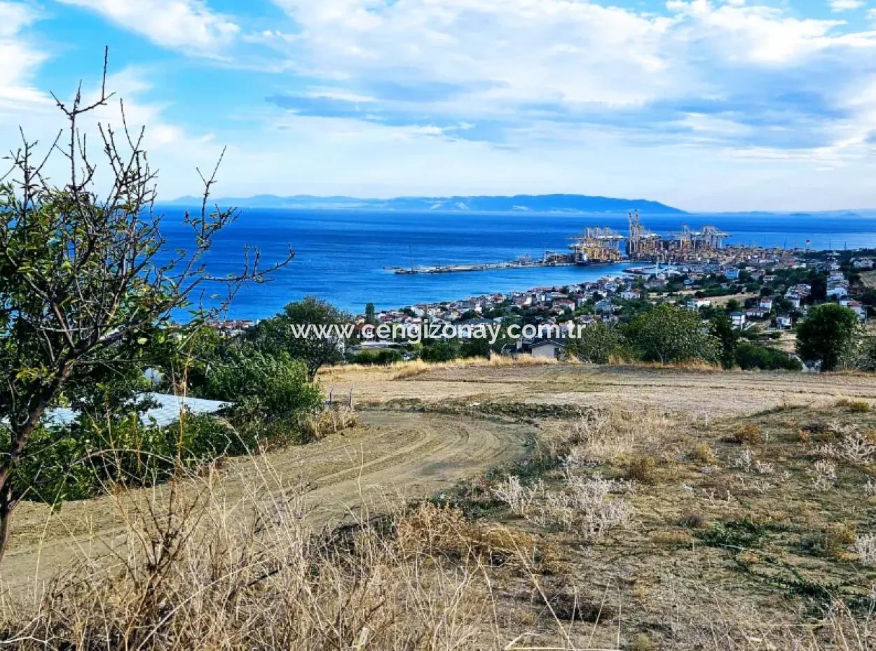 Coupon Land For Urgent Sale Suitable For Building Your Detached House With Wonderful Sea View In Tekirdag Barbarosta