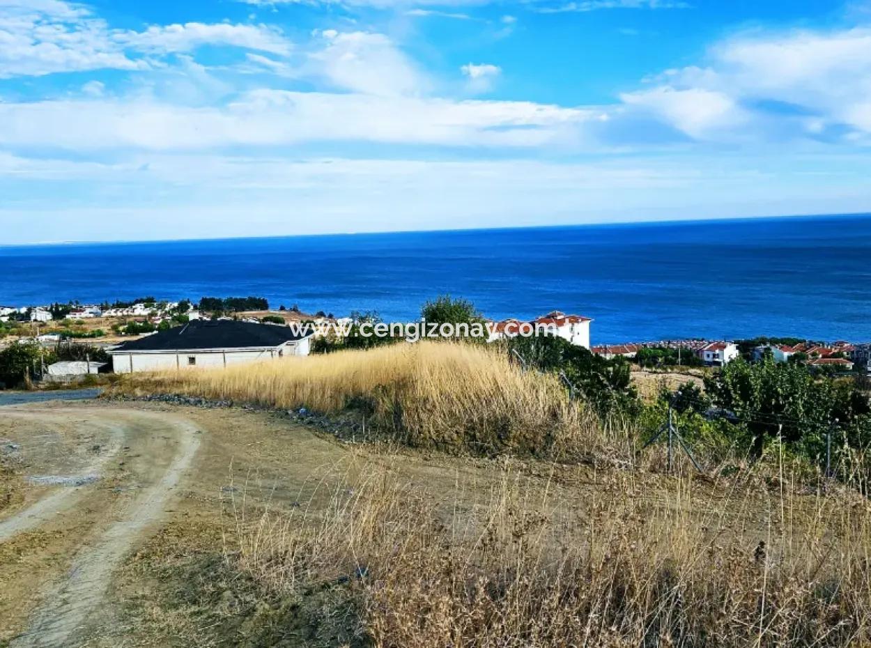 Coupon Land For Urgent Sale Suitable For Building Your Detached House With Wonderful Sea View In Tekirdag Barbarosta
