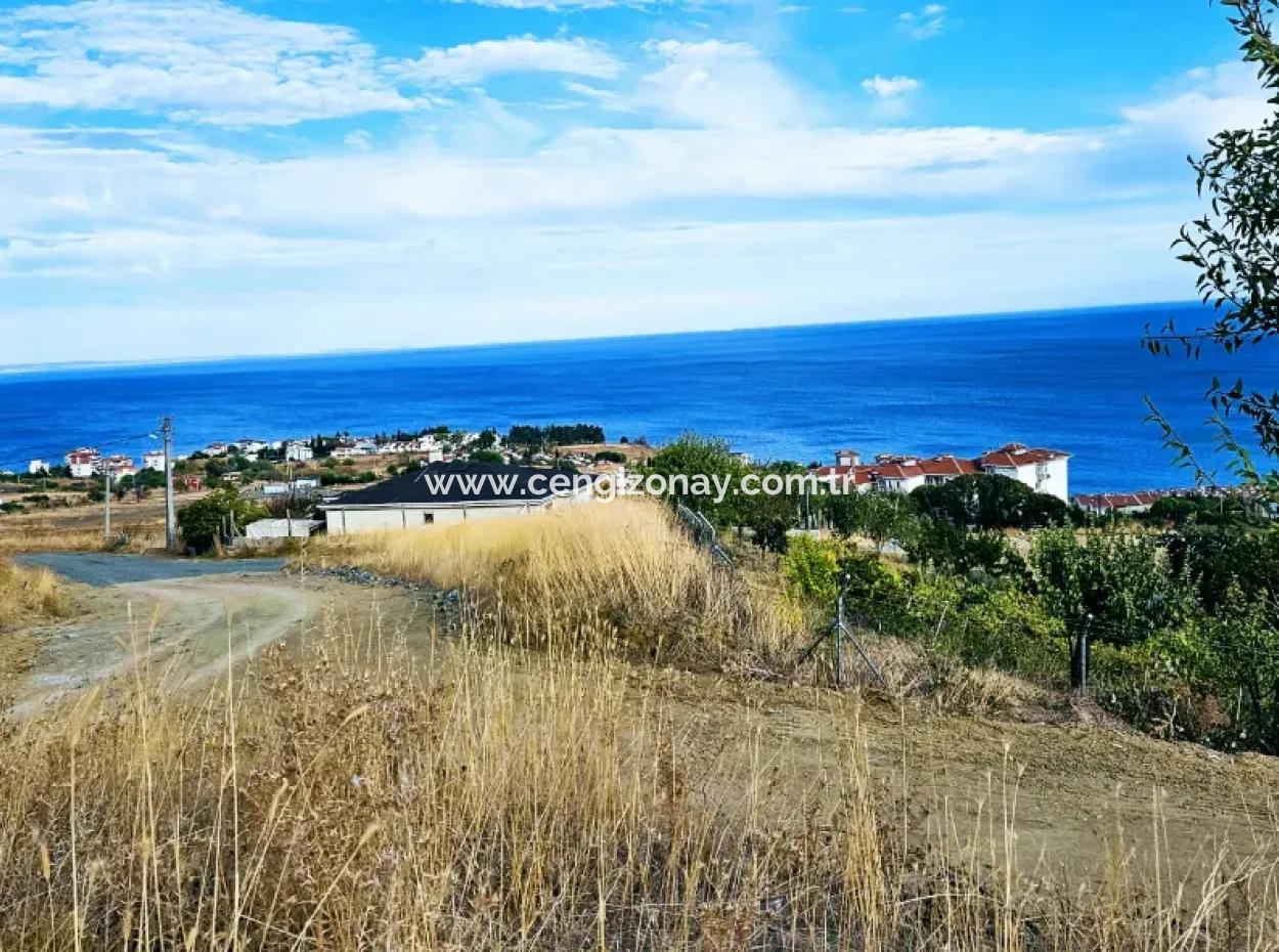 Coupon Land For Urgent Sale Suitable For Building Your Detached House With Wonderful Sea View In Tekirdag Barbarosta