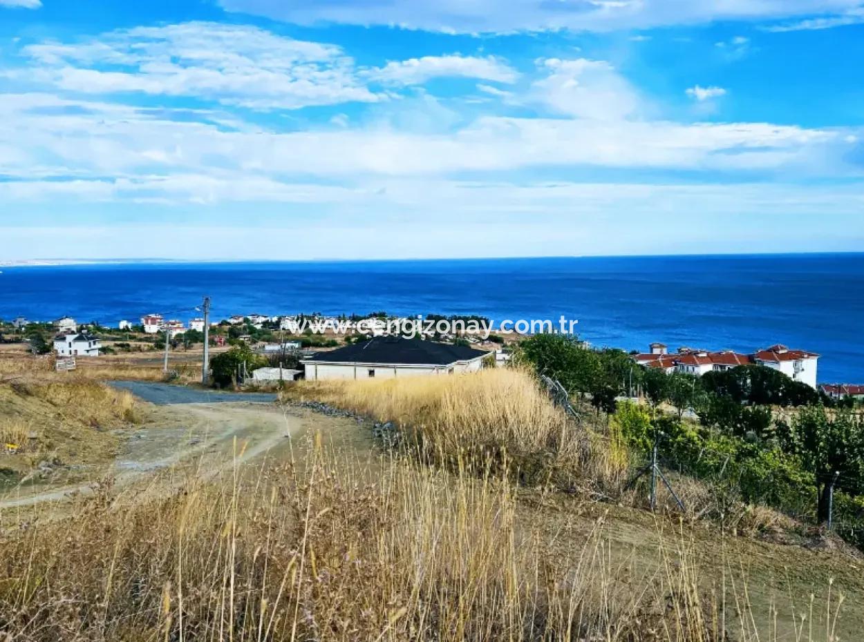 Coupon Land For Urgent Sale Suitable For Building Your Detached House With Wonderful Sea View In Tekirdag Barbarosta