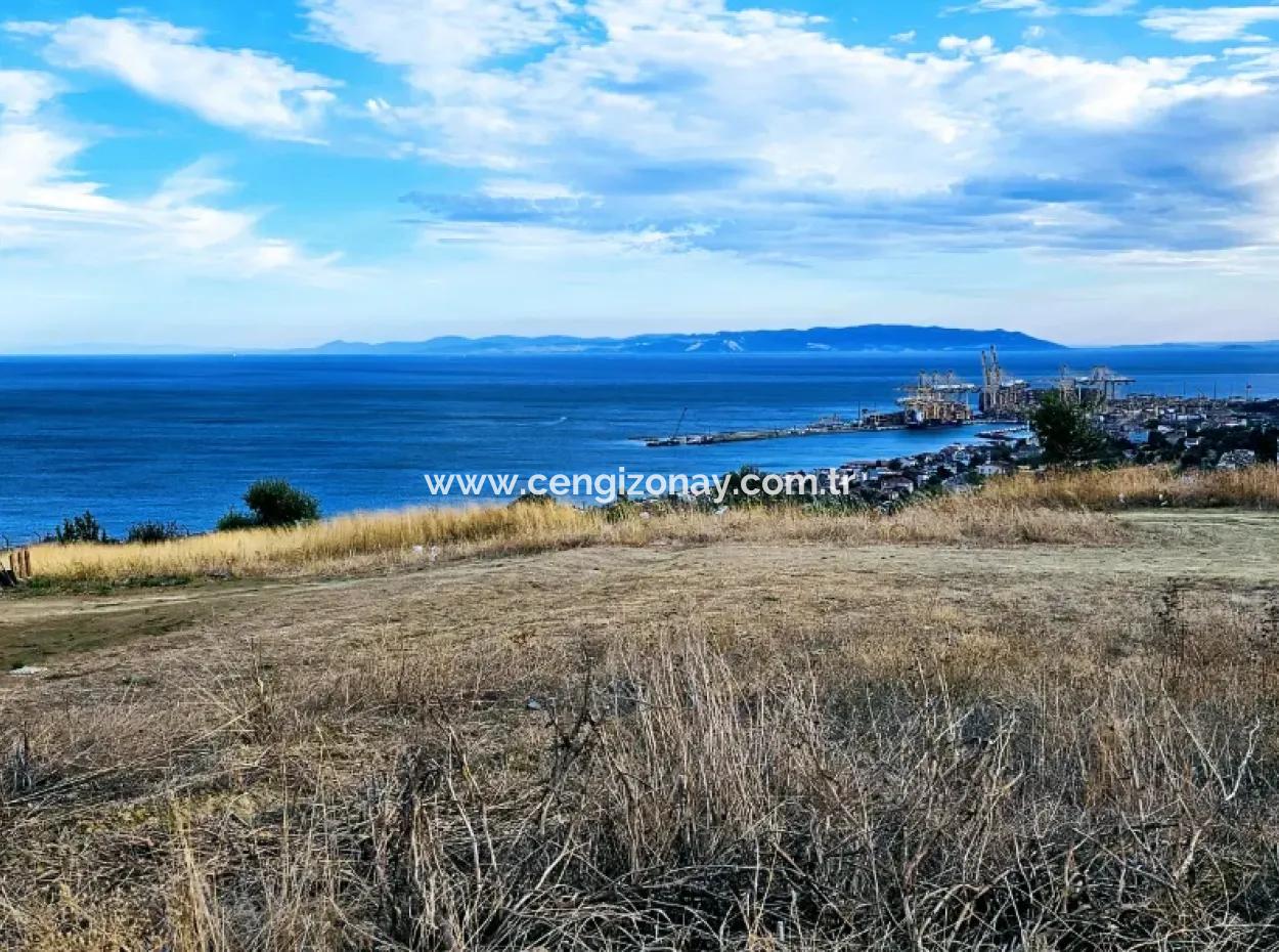 Coupon Land For Urgent Sale Suitable For Building Your Detached House With Wonderful Sea View In Tekirdag Barbarosta