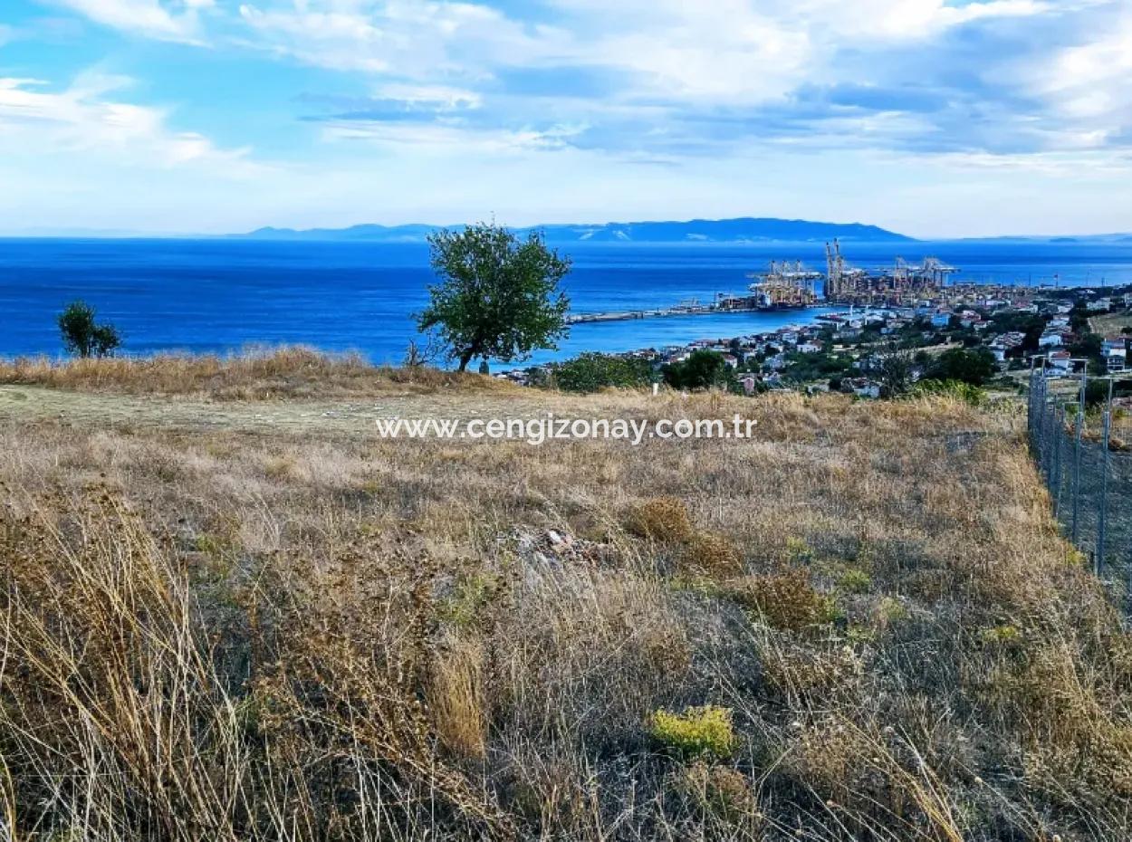 Coupon Land For Urgent Sale Suitable For Building Your Detached House With Wonderful Sea View In Tekirdag Barbarosta