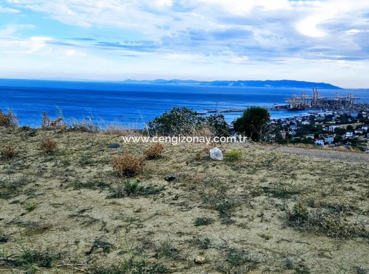 Coupon Land For Urgent Sale Suitable For Building Your Detached House With Wonderful Sea View In Tekirdag Barbarosta