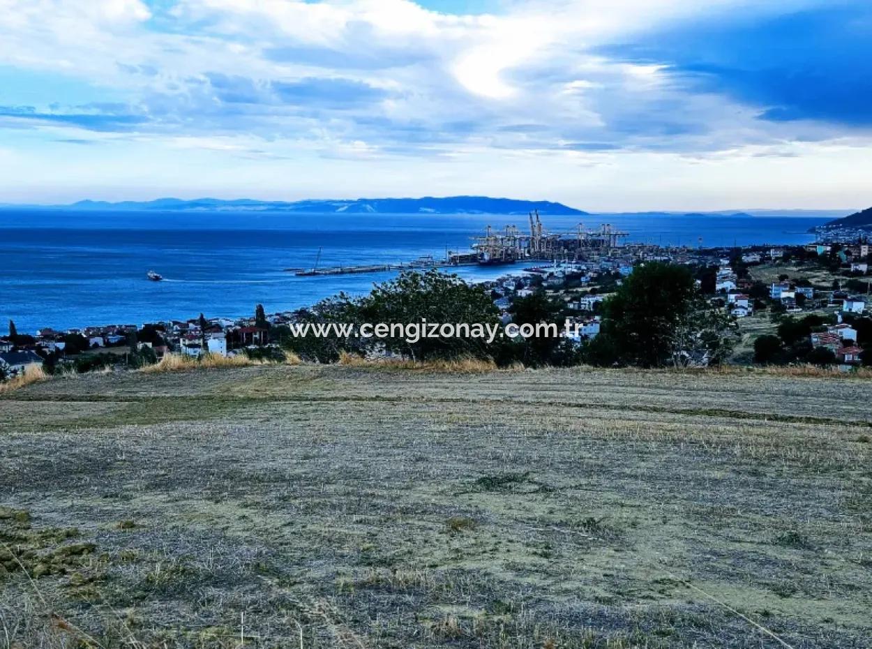 Coupon Land For Urgent Sale Suitable For Building Your Detached House With Wonderful Sea View In Tekirdag Barbarosta