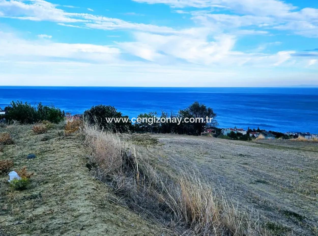 Coupon Land For Urgent Sale Suitable For Building Your Detached House With Wonderful Sea View In Tekirdag Barbarosta