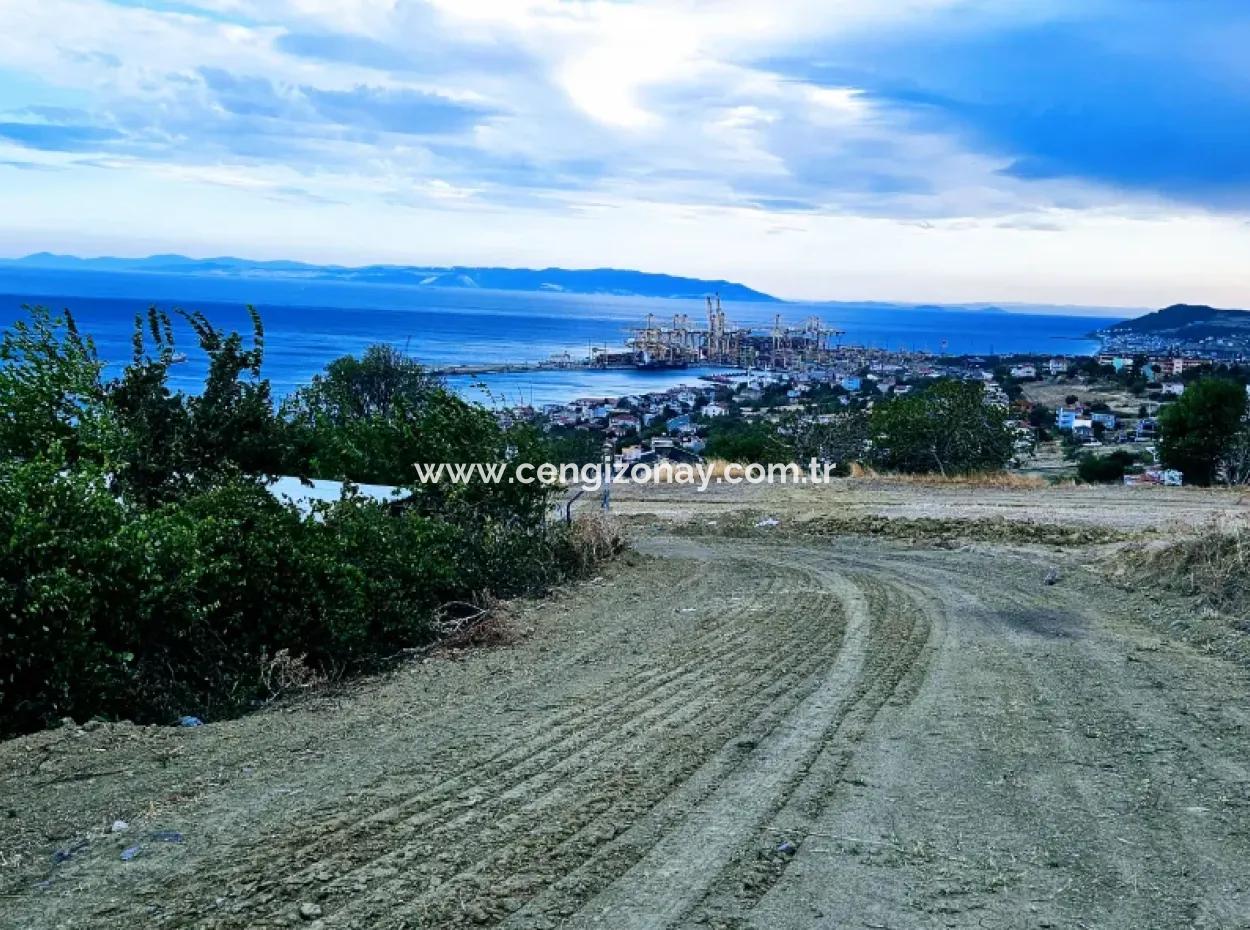 Coupon Land For Urgent Sale Suitable For Building Your Detached House With Wonderful Sea View In Tekirdag Barbarosta