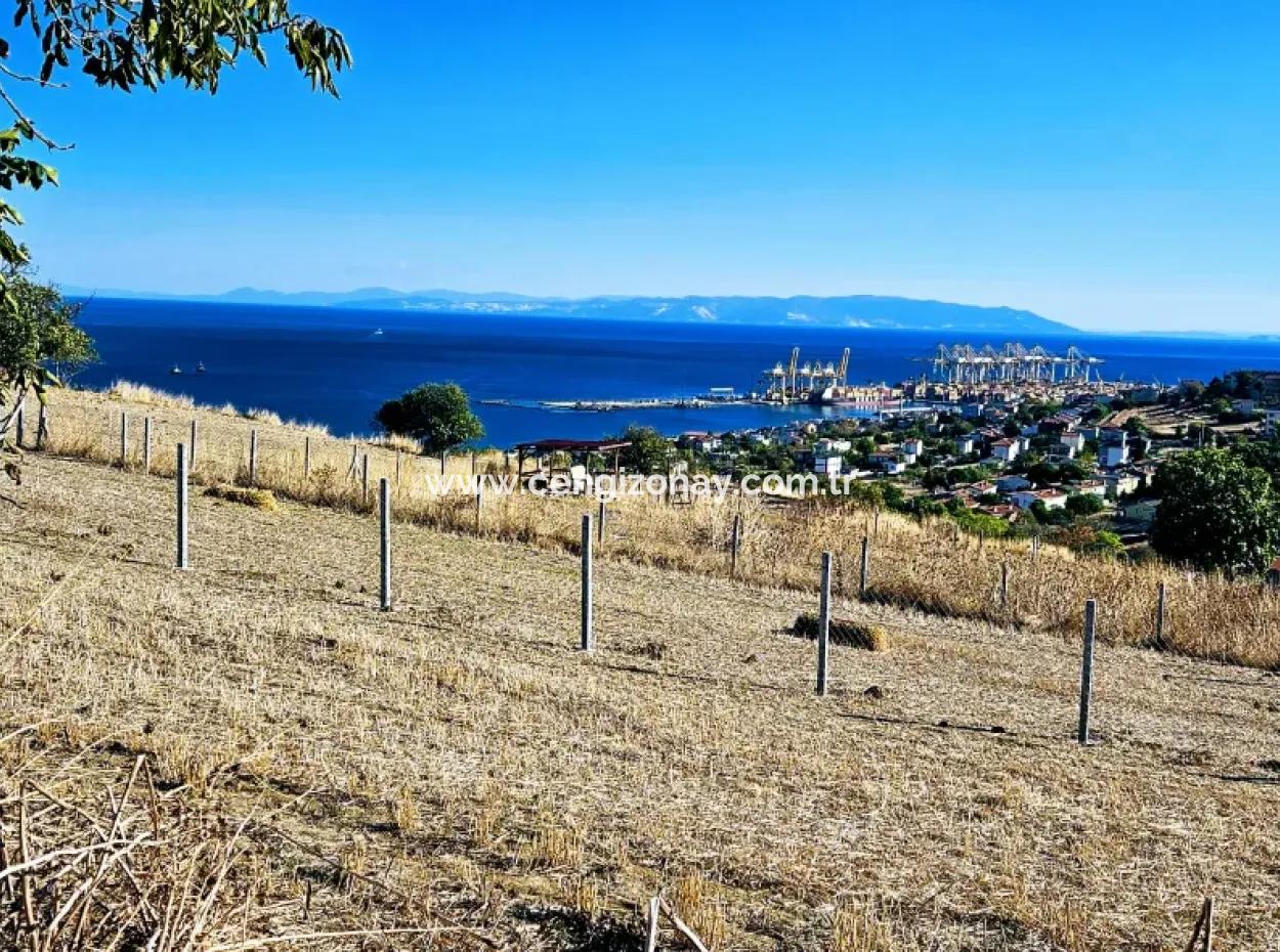 Full Sea View Swap Cash 765 M2 Opportunity Coupon Plot For Urgent Sale