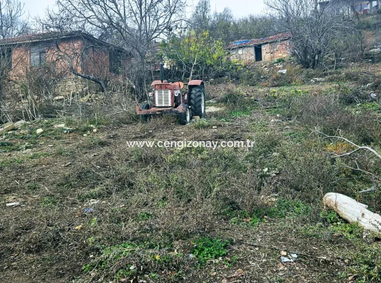 Opportunity Corner Land For Enthusiasts Who Want To Build A Village House For Urgent Sale