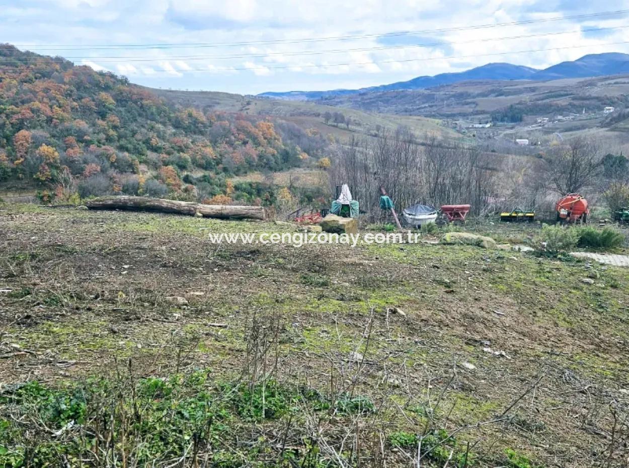 Opportunity Corner Land For Enthusiasts Who Want To Build A Village House For Urgent Sale