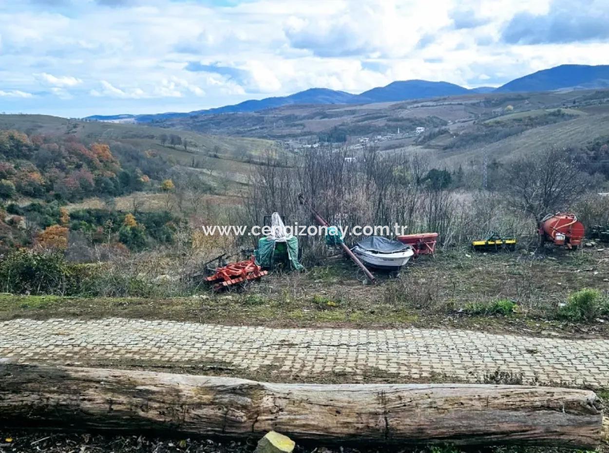 Opportunity Corner Land For Enthusiasts Who Want To Build A Village House For Urgent Sale