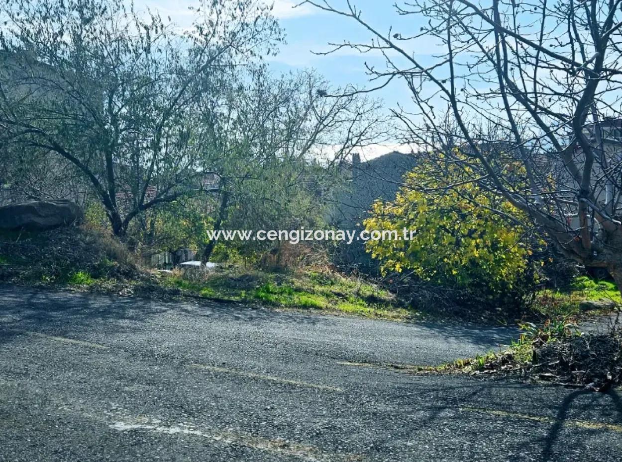 2 Plots Of Land For Urgent Sale 2 Detached Houses Suitable For Building Coupon Land