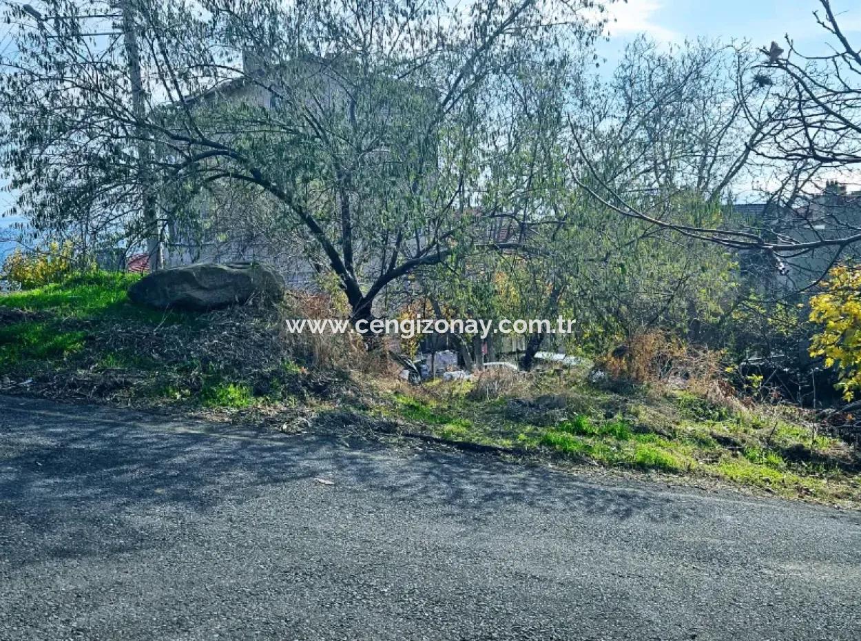 2 Plots Of Land For Urgent Sale 2 Detached Houses Suitable For Building Coupon Land