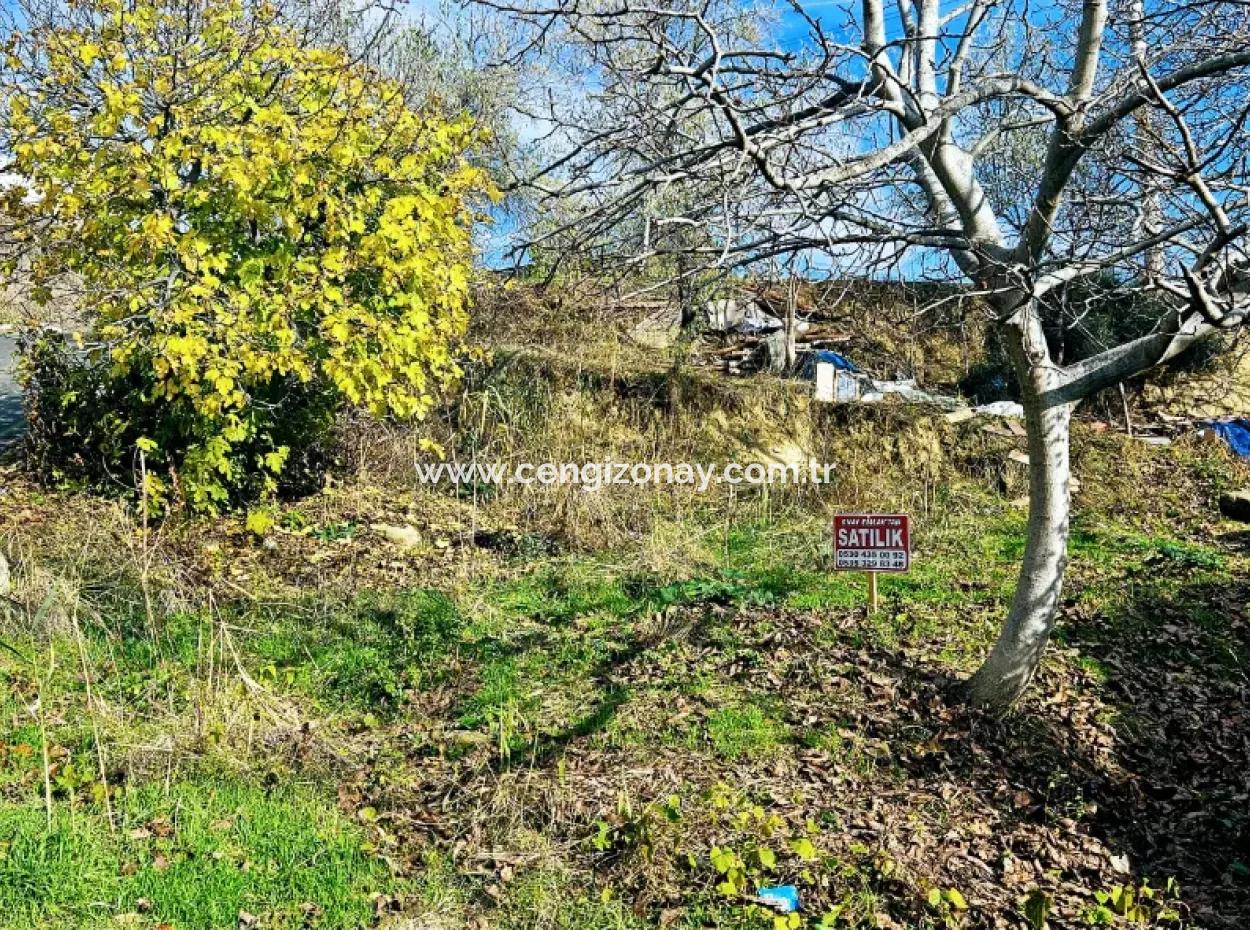 2 Plots Of Land For Urgent Sale 2 Detached Houses Suitable For Building Coupon Land