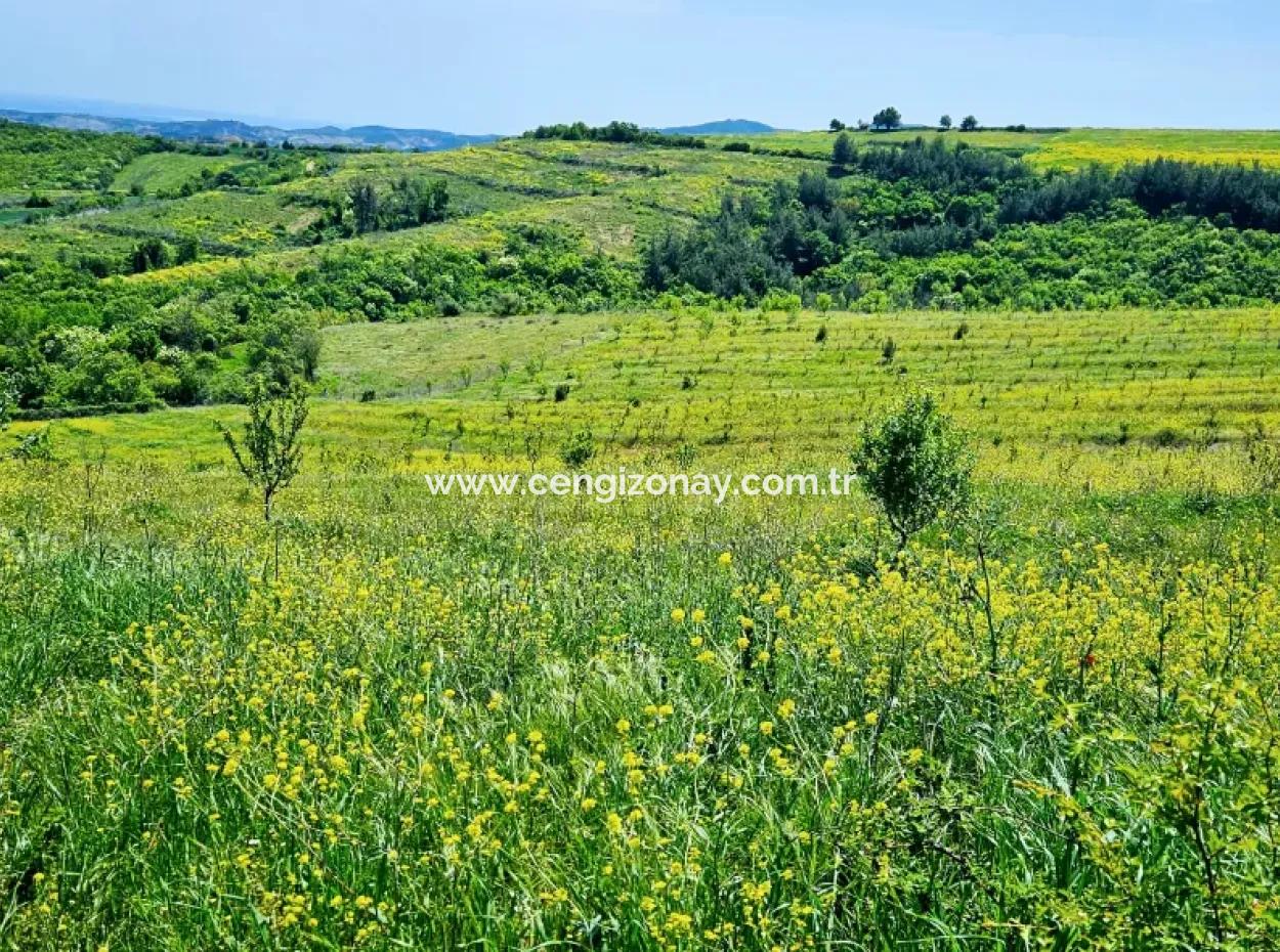 A Great Opportunity To Build Your Farm In Your Family For Urgent Sale 2,600 Acres Of Pasture Front