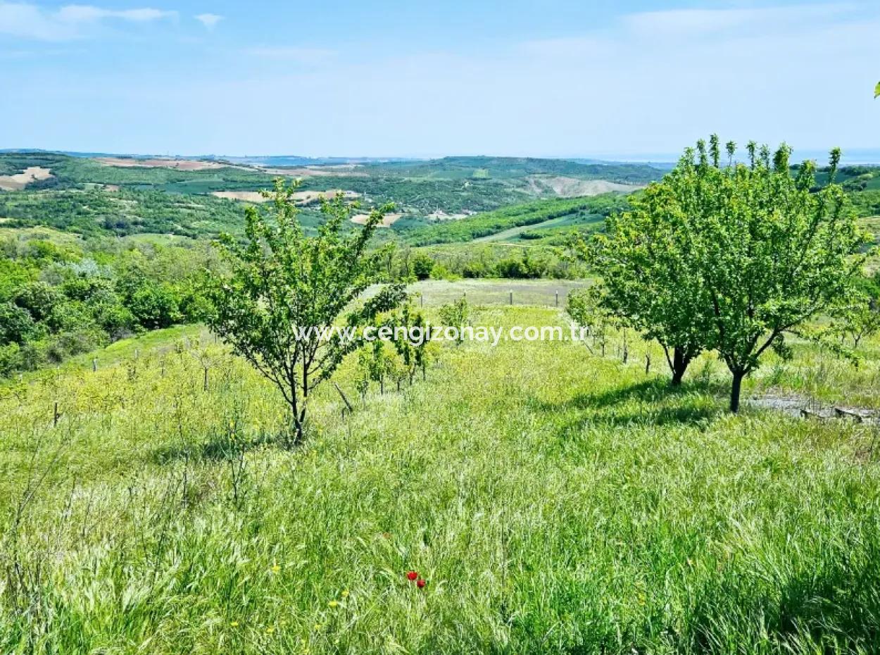 A Great Opportunity To Build Your Farm In Your Family For Urgent Sale 2,600 Acres Of Pasture Front