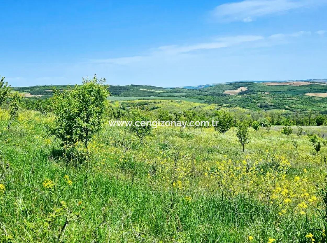 A Great Opportunity To Build Your Farm In Your Family For Urgent Sale 2,600 Acres Of Pasture Front