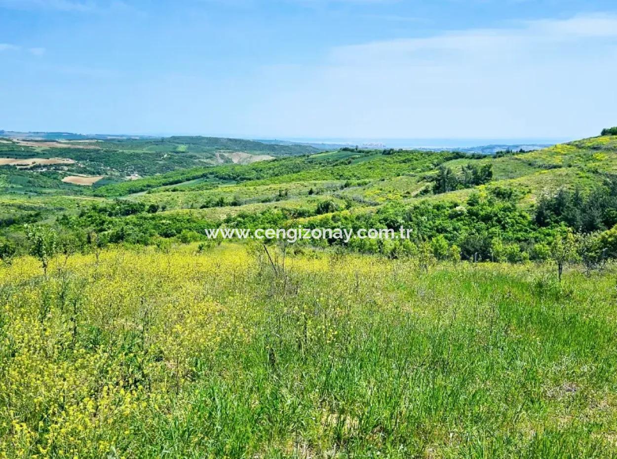 A Great Opportunity To Build Your Farm In Your Family For Urgent Sale 2,600 Acres Of Pasture Front