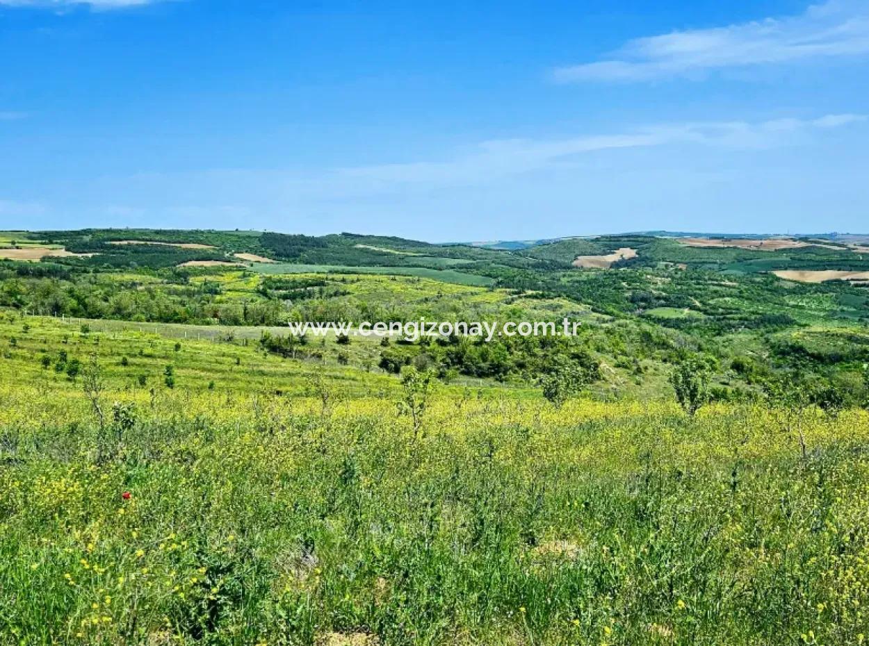 A Great Opportunity To Build Your Farm In Your Family For Urgent Sale 2,600 Acres Of Pasture Front