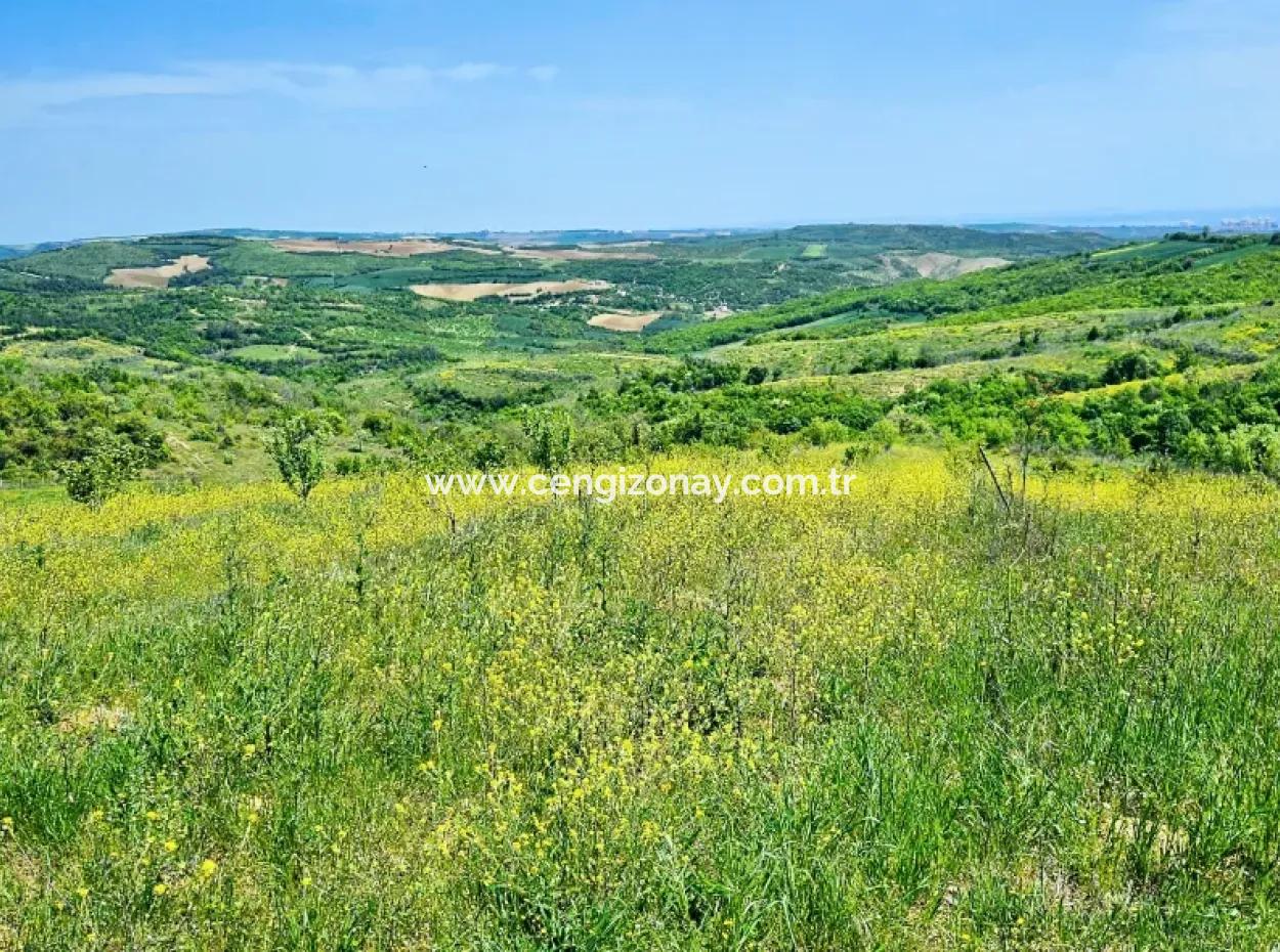 A Great Opportunity To Build Your Farm In Your Family For Urgent Sale 2,600 Acres Of Pasture Front