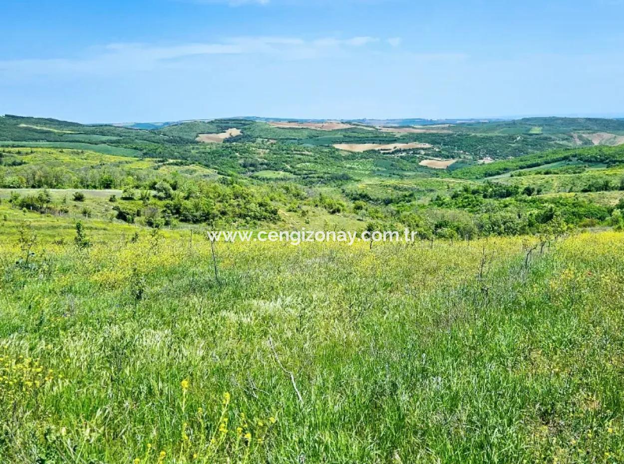 A Great Opportunity To Build Your Farm In Your Family For Urgent Sale 2,600 Acres Of Pasture Front