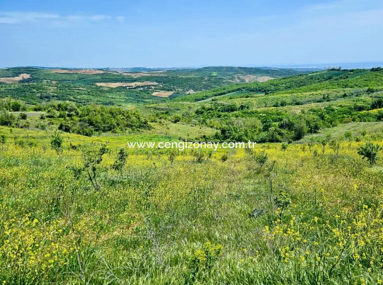 A Great Opportunity To Build Your Farm In Your Family For Urgent Sale 2,600 Acres Of Pasture Front