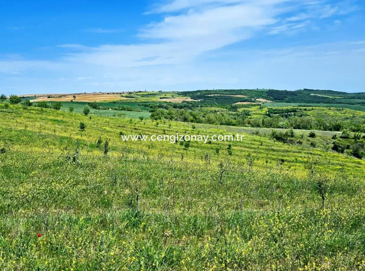 A Great Opportunity To Build Your Farm In Your Family For Urgent Sale 2,600 Acres Of Pasture Front