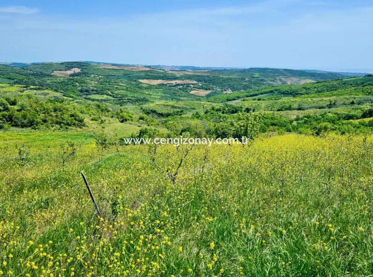 A Great Opportunity To Build Your Farm In Your Family For Urgent Sale 2,600 Acres Of Pasture Front