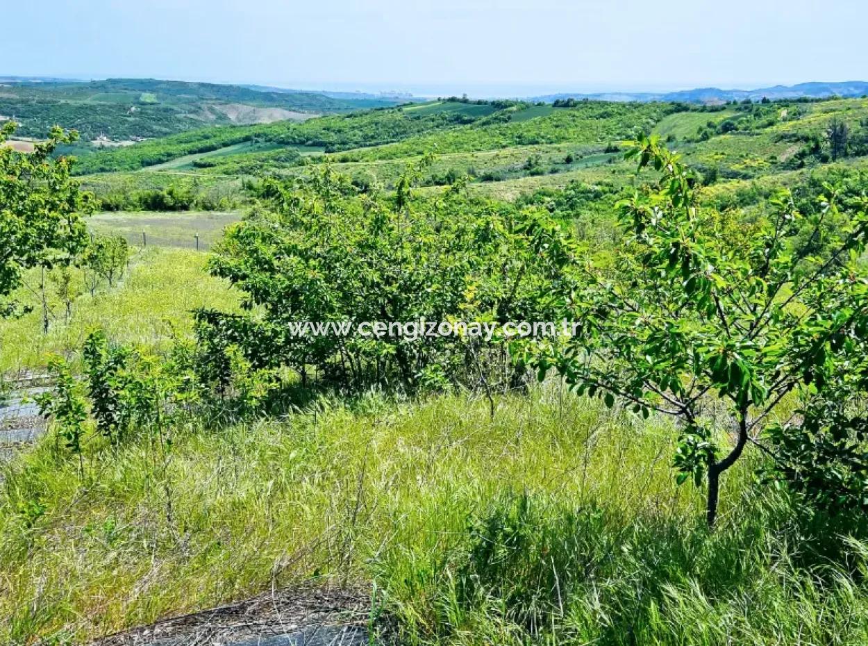 A Great Opportunity To Build Your Farm In Your Family For Urgent Sale 2,600 Acres Of Pasture Front