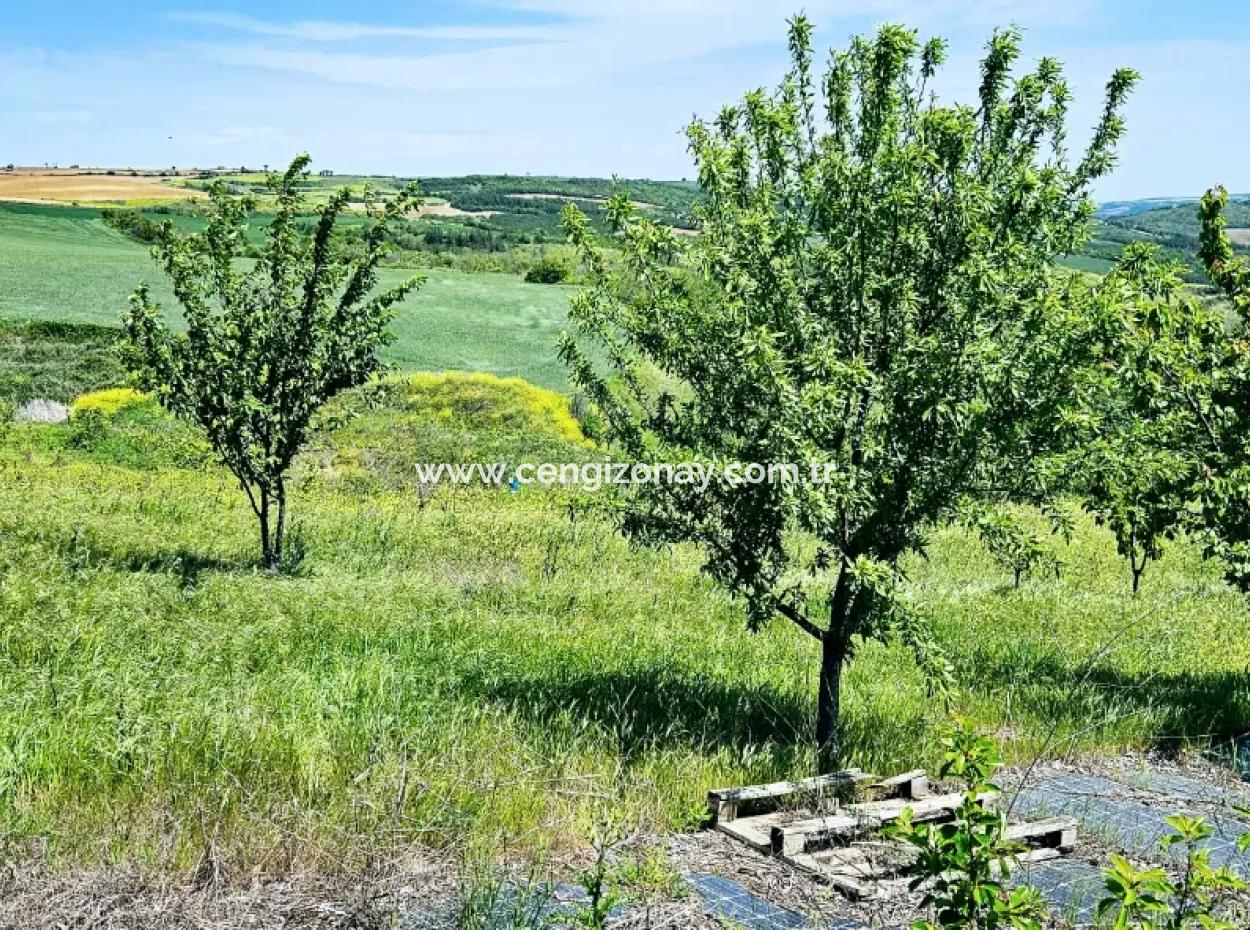 A Great Opportunity To Build Your Farm In Your Family For Urgent Sale 2,600 Acres Of Pasture Front