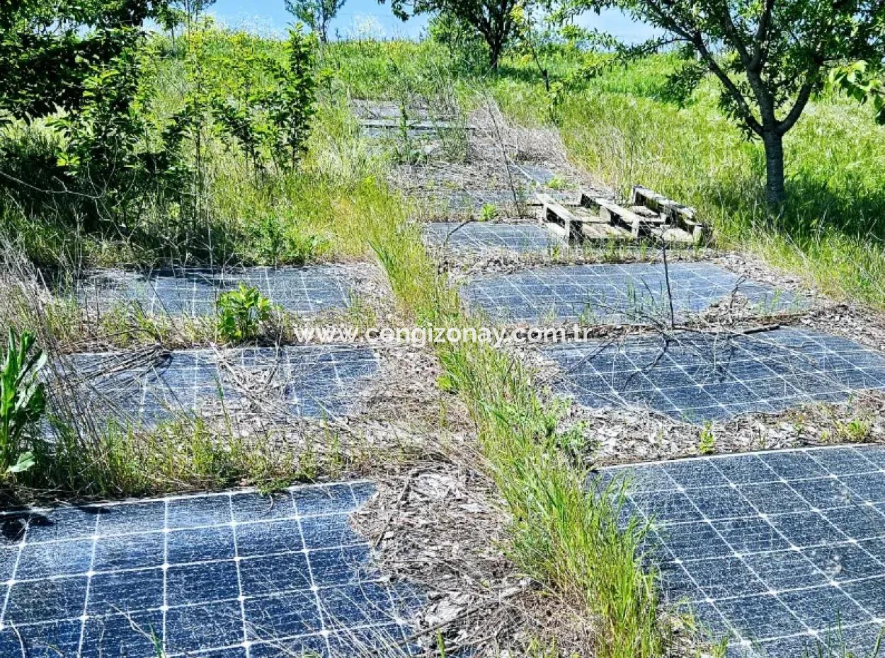 A Great Opportunity To Build Your Farm In Your Family For Urgent Sale 2,600 Acres Of Pasture Front