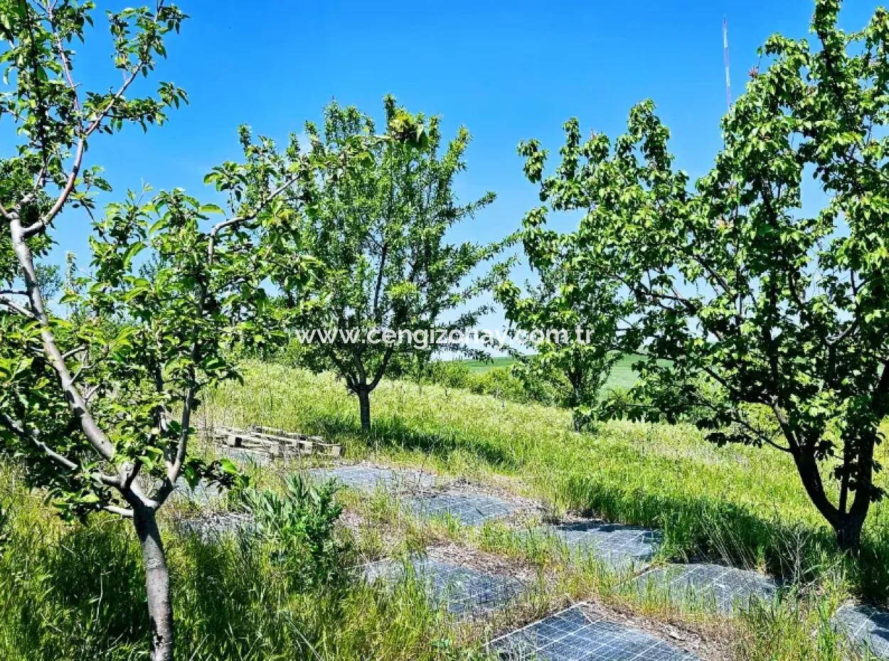 A Great Opportunity To Build Your Farm In Your Family For Urgent Sale 2,600 Acres Of Pasture Front